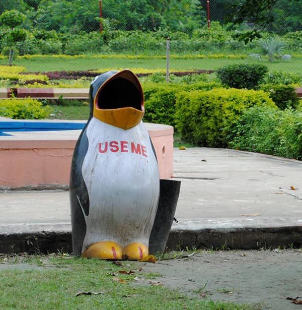 Penguin with low self-esteem