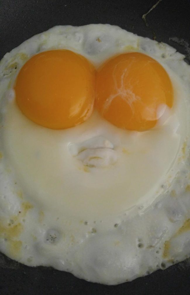odd-eggs-650x1006.jpg