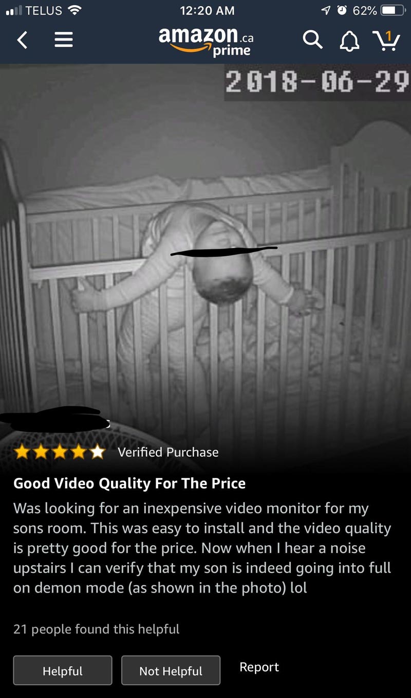 Found this review while looking for pet cams