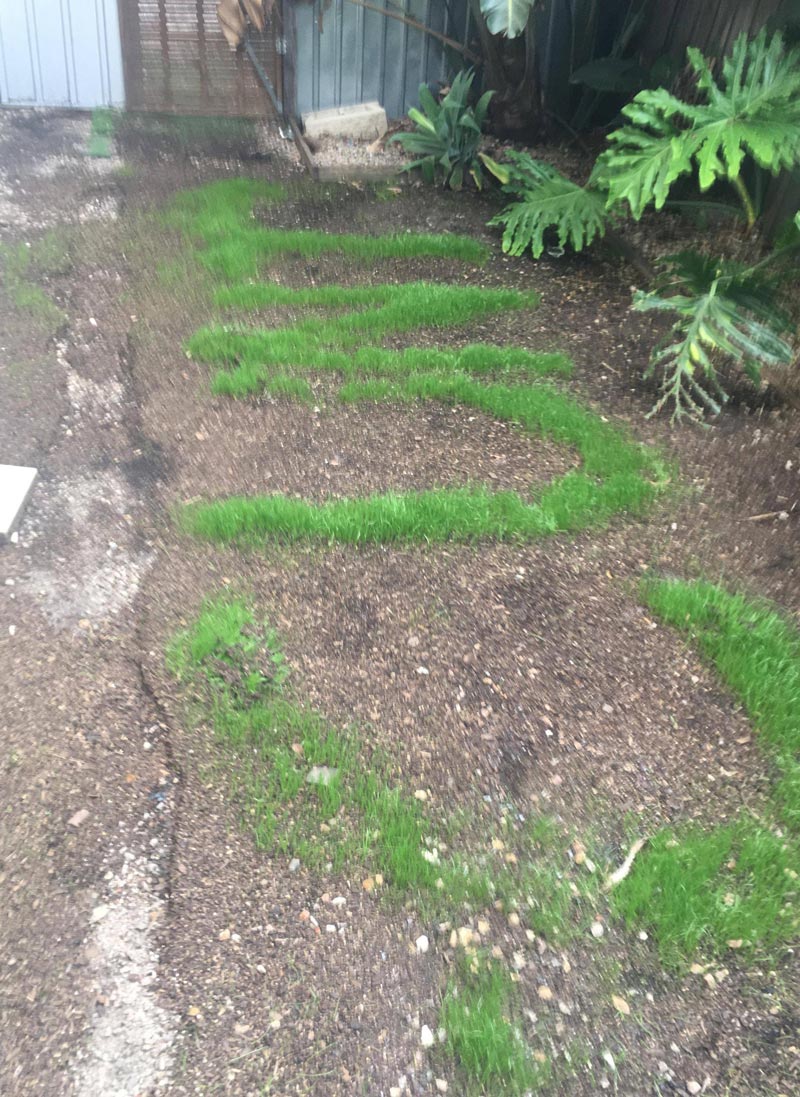 My uncle's real estate agency sold a property a few months ago where the seller and buyer got in a disagreement over a chicken coop that had to be removed and replanted with grass. The grass just grew in