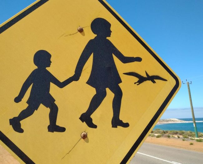 Australian schoolkids face all sorts of hazards