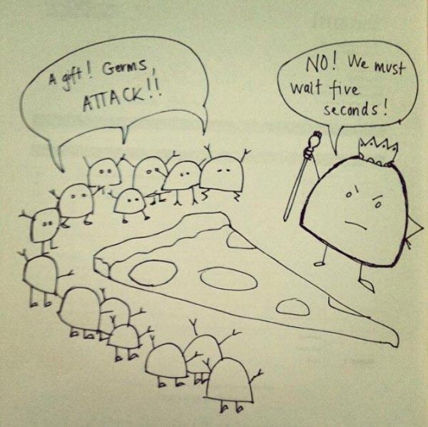 How the 5 second rule really works