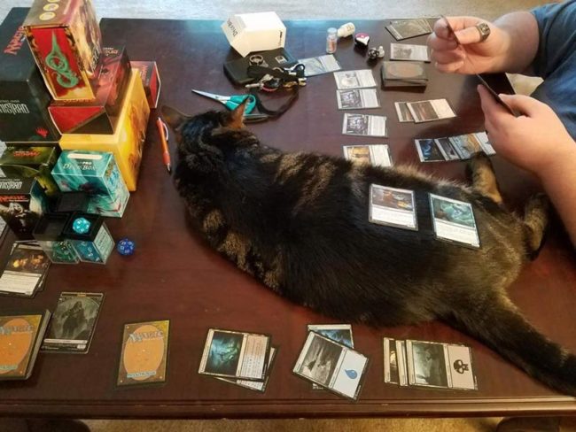 I am part of the game now, human
