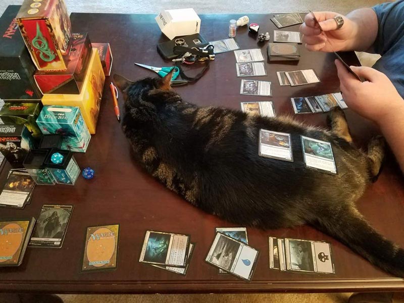 I am part of the game now, human