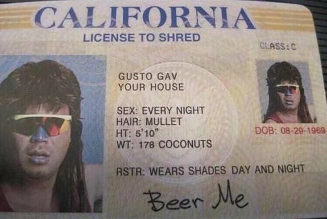 License to Shred