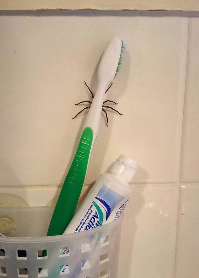 Don't think I will brush my teeth tonight