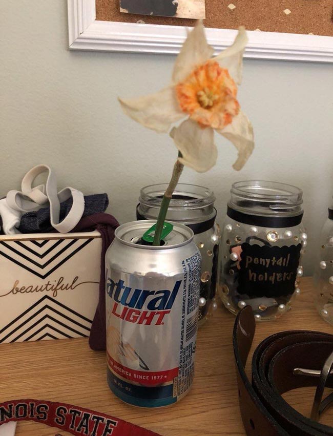 They said to place the flower in natural light...