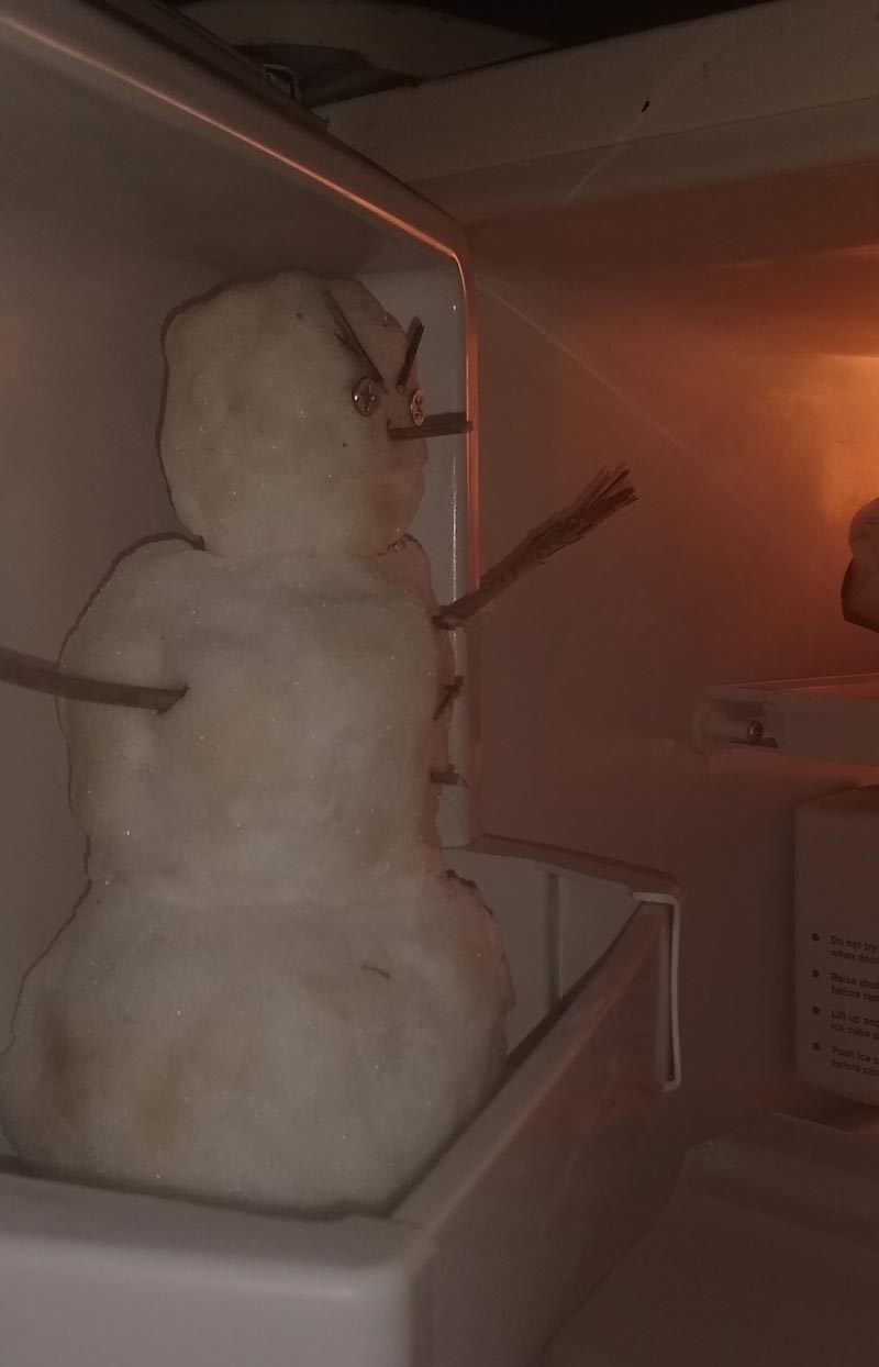 I remember when I was younger my parents would say "Don't put that nasty snowball in my freezer! You can do that when you get your own!" Guess who has a nasty snowman in their freezer