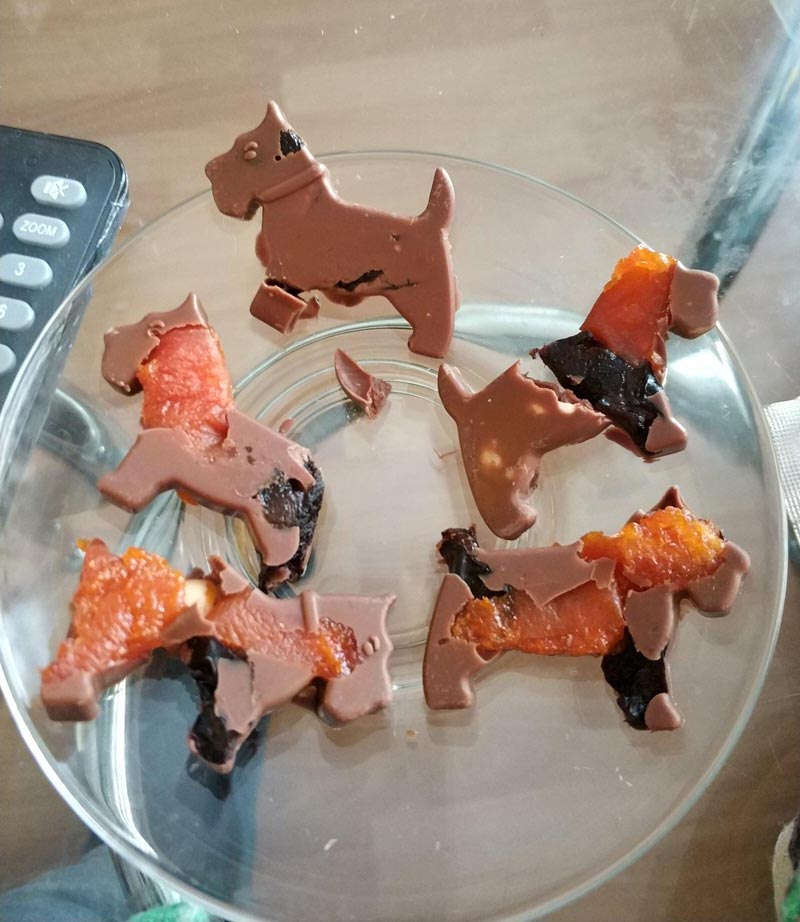 The girl wanted to make chocolate sweets but ended up creating zombie dogs from Resident Evil