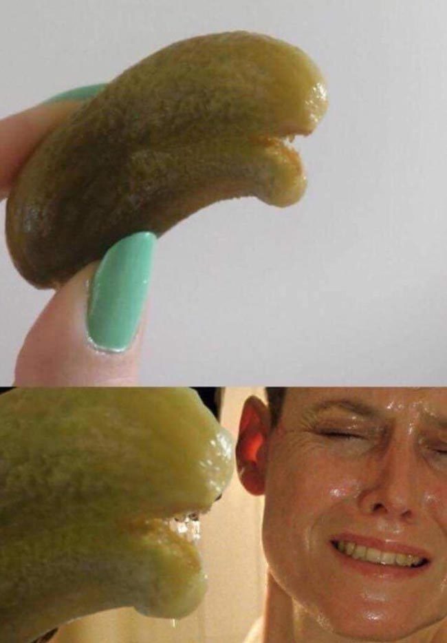 Alien pickle