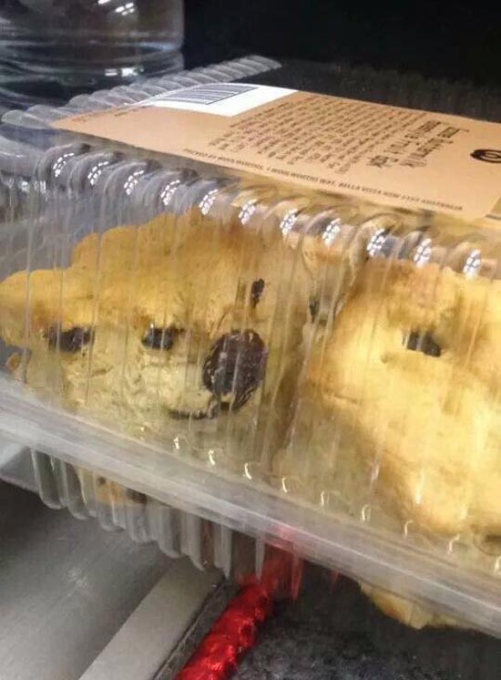 Release me from these pastries