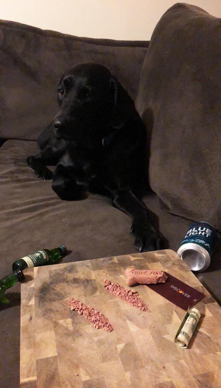 Girlfriend left me and the dog home alone for the weekend. First thing I sent her