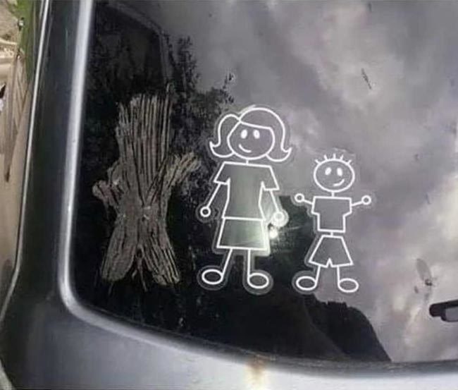 Divorced or married to Groot?