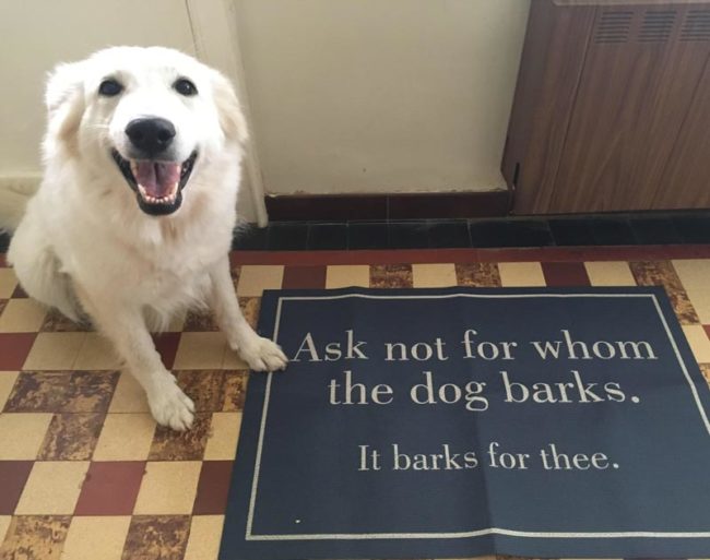 I bark, therefore I am