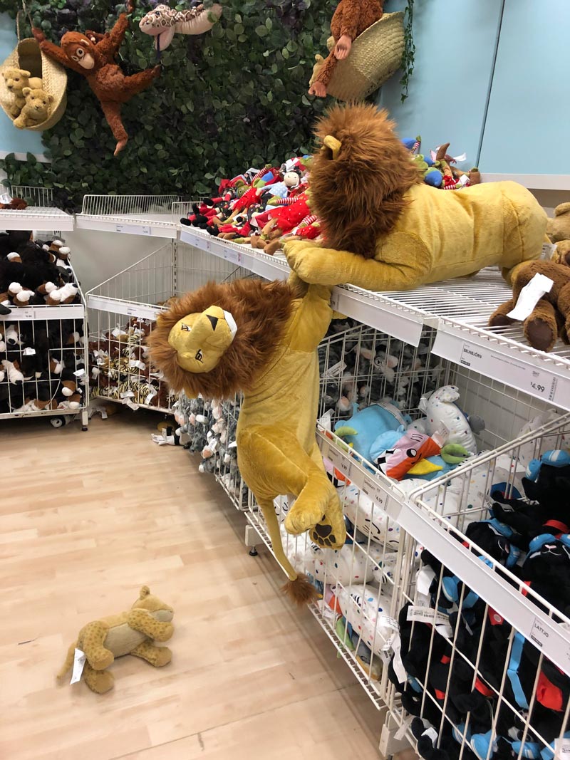 Lion king scene found at IKEA