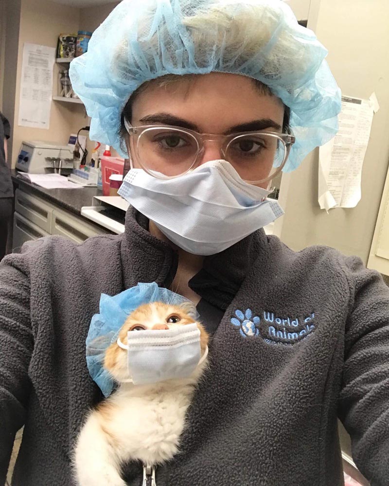 Vet's mew surgical assistant