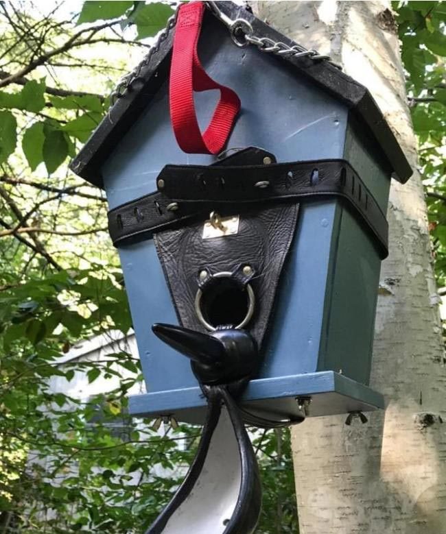 For Woodpeckers or Cockatoos?