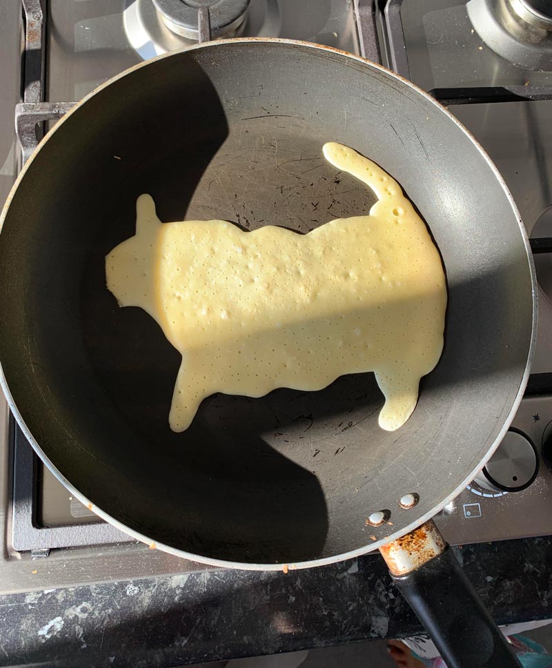 My failed pancake attempt turned into a fat cat