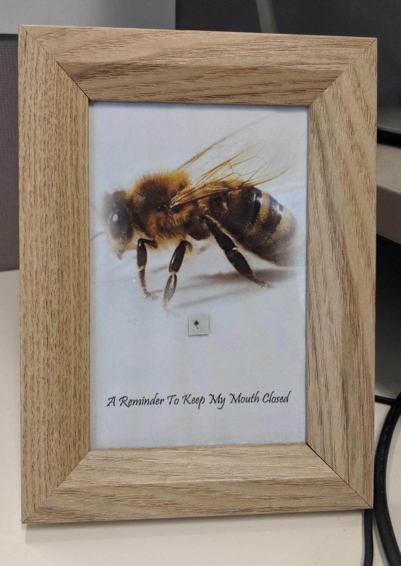 My Colleague got stung in the mouth by a bee, Boss framed the stinger and left it on his desk
