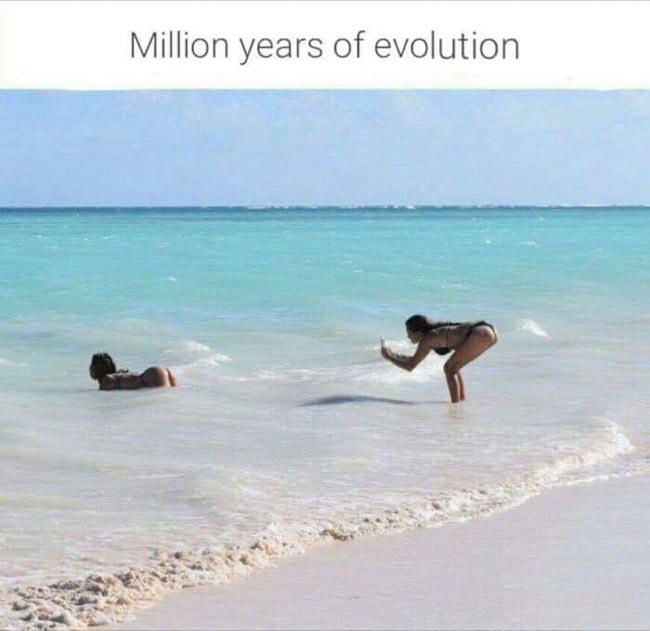 Evolution is beautiful thing