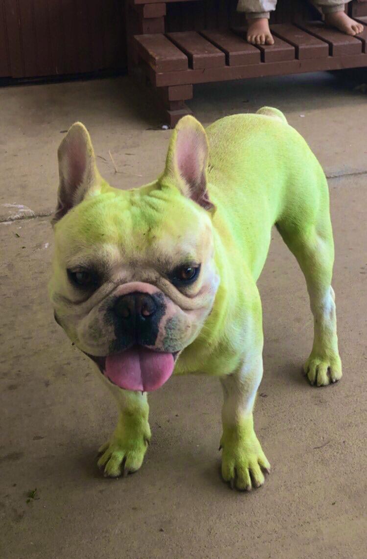 My Zumo turns into the Hulk when I mow the lawn