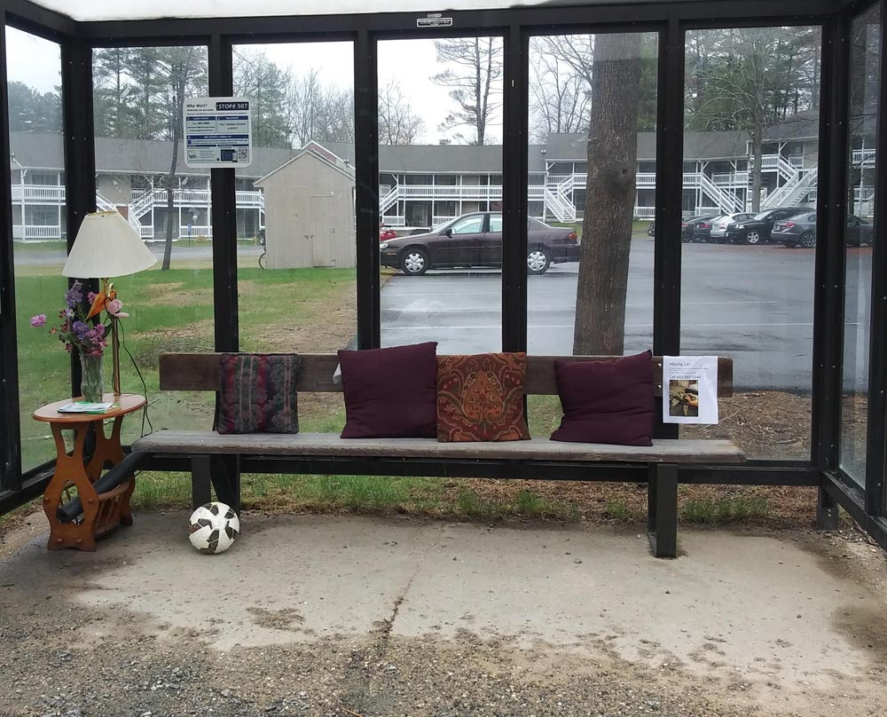 My local bus stop is getting pretty cozy