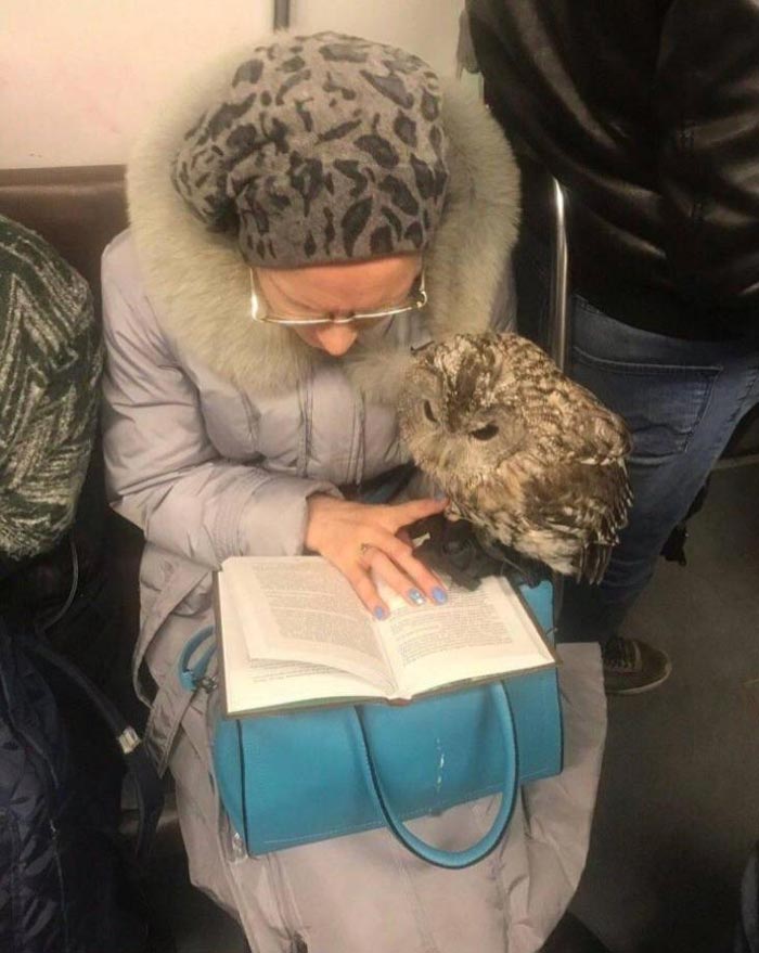 This old lady on the subway