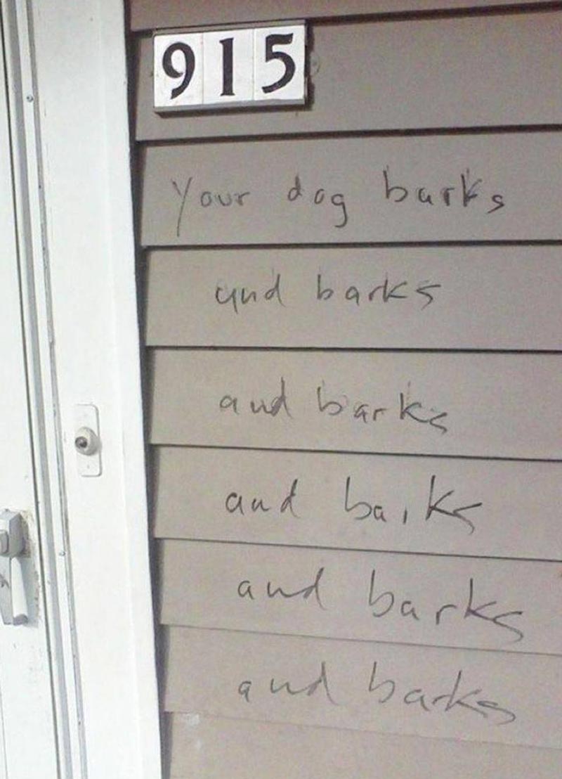Your dog barks