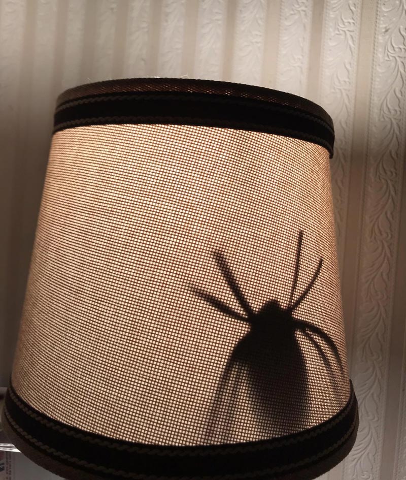 Completely unprompted, my son cut a paper spider out and taped it inside my wife's lampshade and I've never been more proud