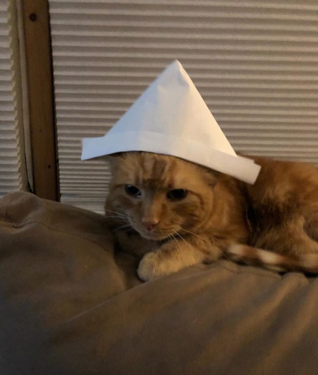 My girlfriend taught my little cousin how to make paper hats.. His mom sent me this a few hours later