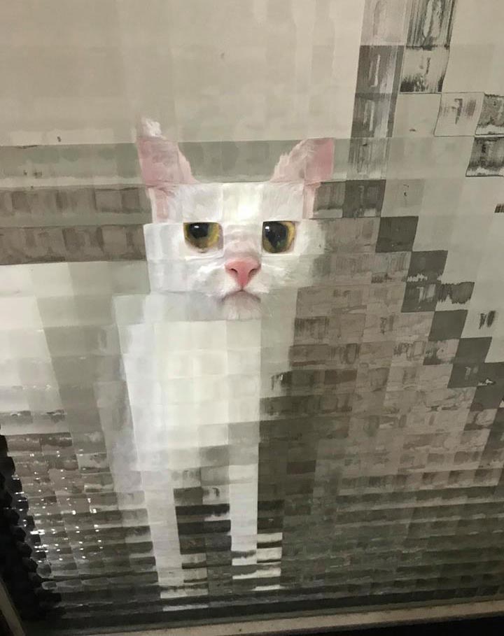 A pixelated cat