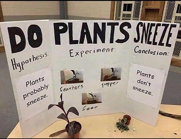 Do Plants Sneeze?