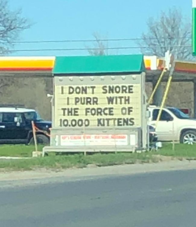 I-dont-snore-650x752.jpg