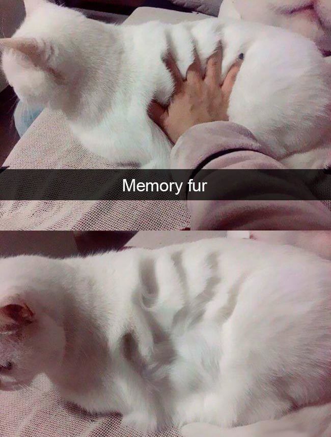 Memory fur