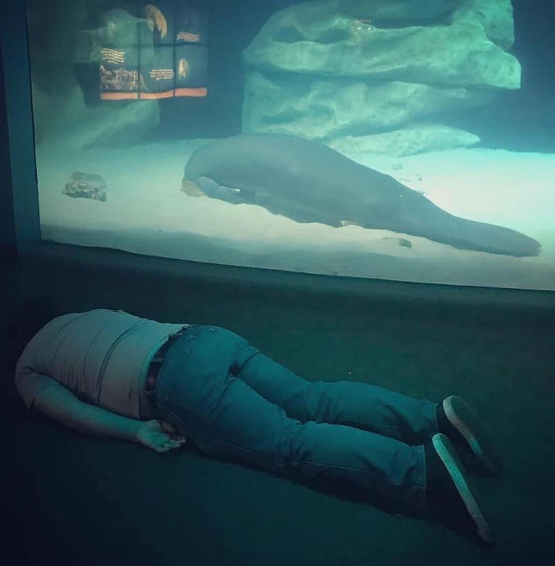 My friend visited the aquarium today