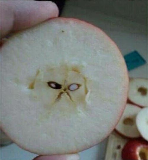 Forget about Jesus in toast.. Here is grumpy cat in an apple