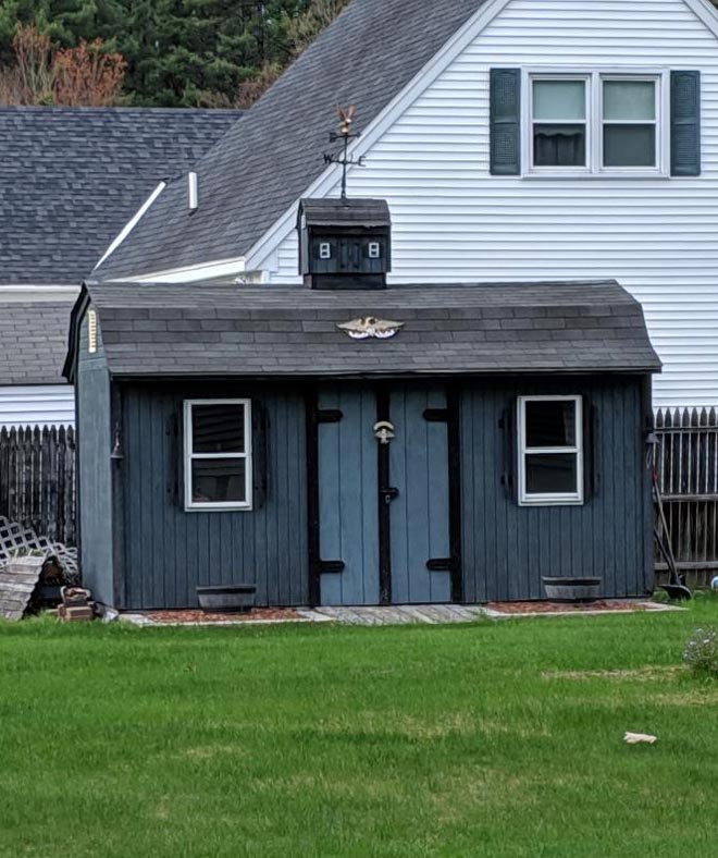 My neighbor made a mini version of their shed to put on top of their shed