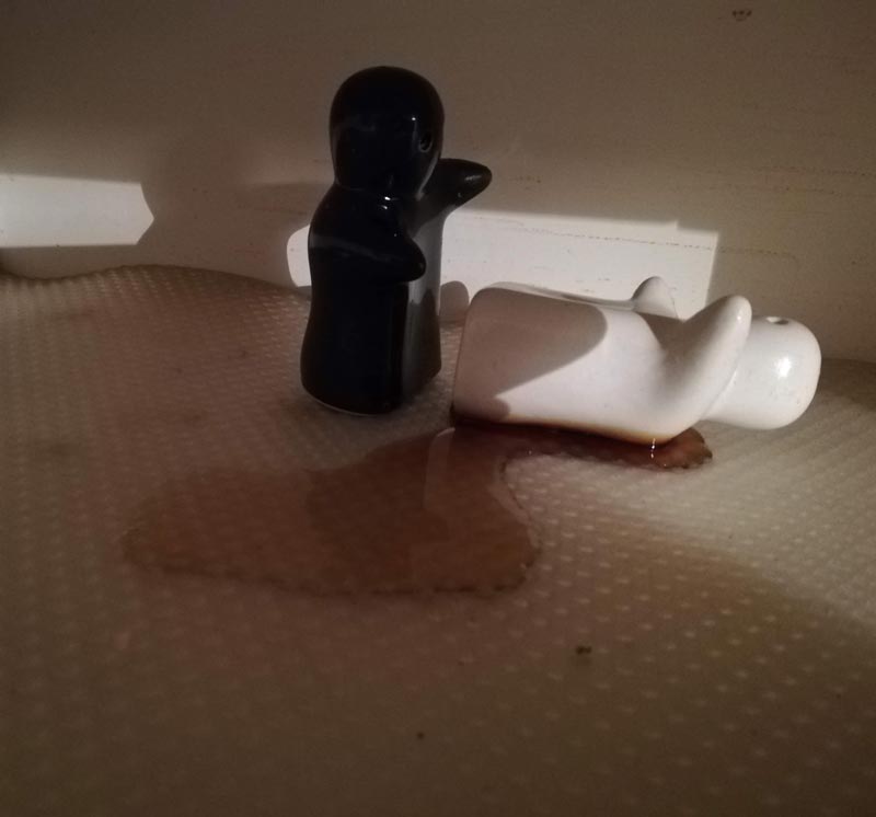 Cleaned up the kitchen shelf and discovered a murder scene; salt and pepper shakers on top of spilled honey