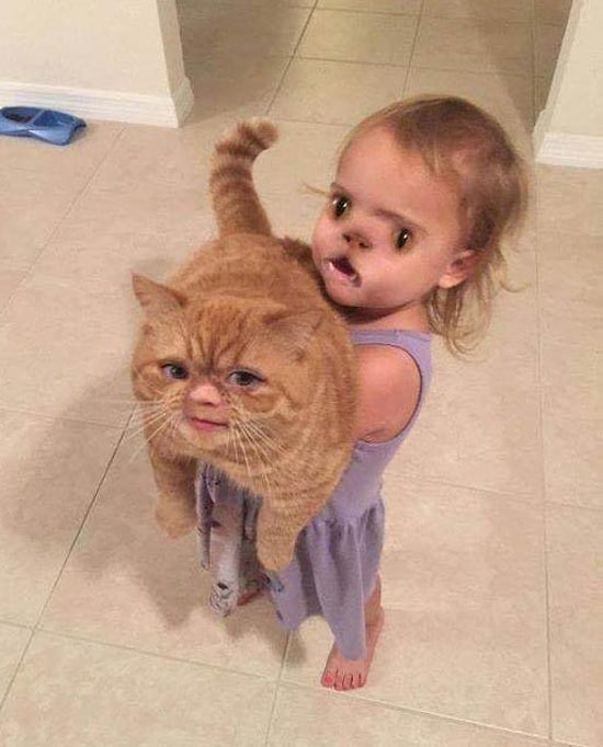 This face swap