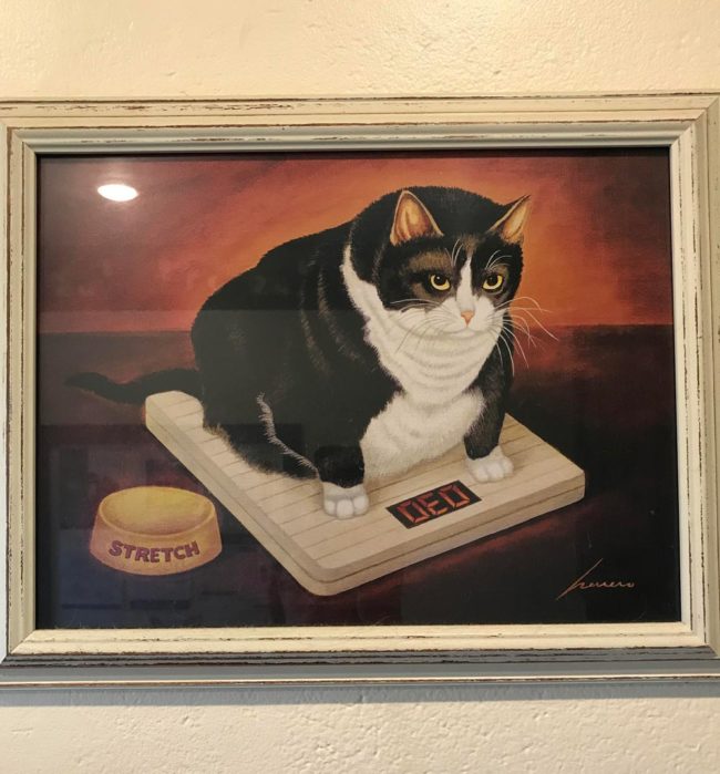This picture is at our vets office. I don’t know exactly why, but it gets me every time
