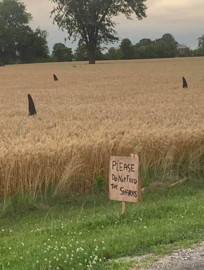 Farmers with a sense of humor