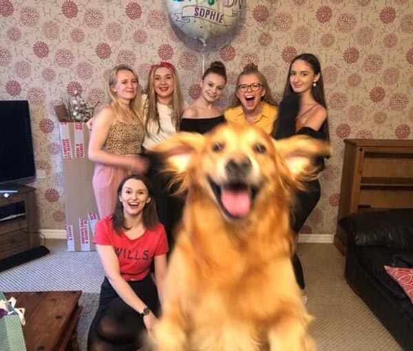 My girlfriend and her friends took a group photo, Alfie wanted to be in it as well