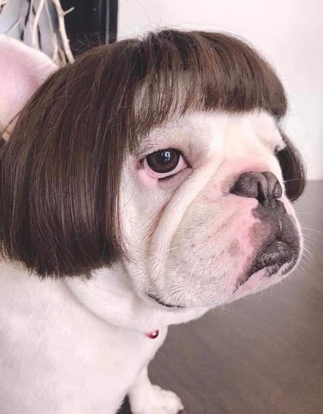 I need to speak to your manager. NOW!