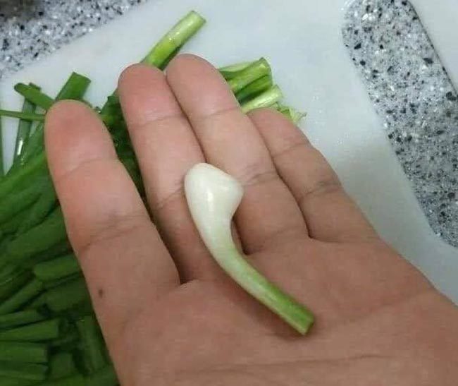 New Airpods leeked