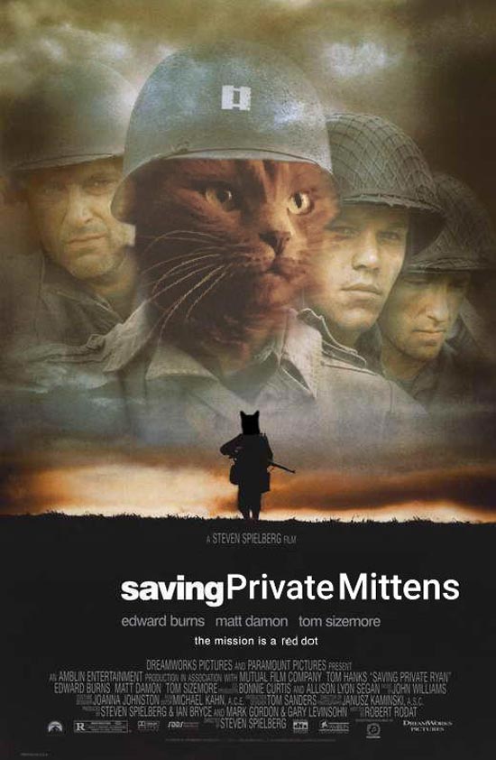 New favorite hobby: photoshopping my cat into movie posters and setting them as my fiance's phone background