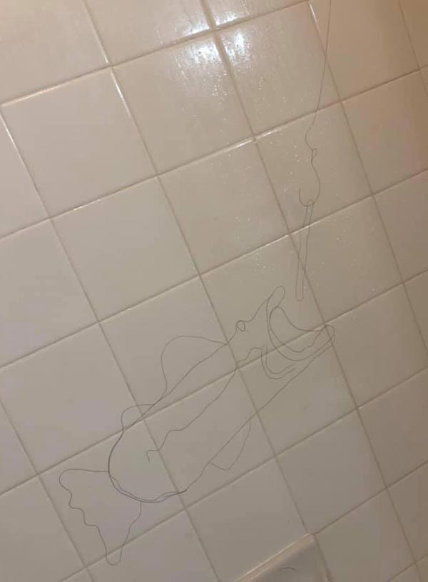 Shower hair art