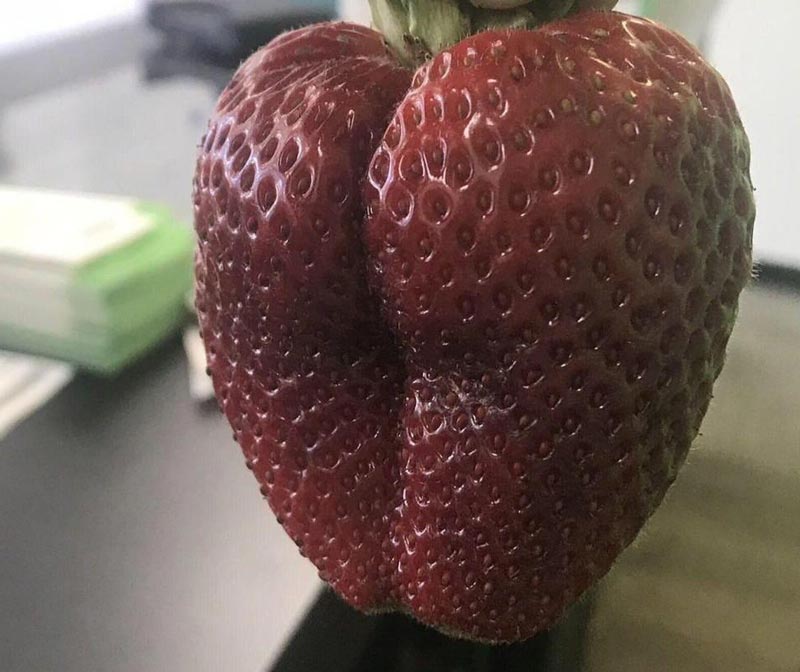 Thick and juicy, now that’s my jam