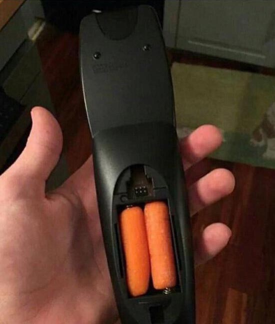 Vegan Batteries
