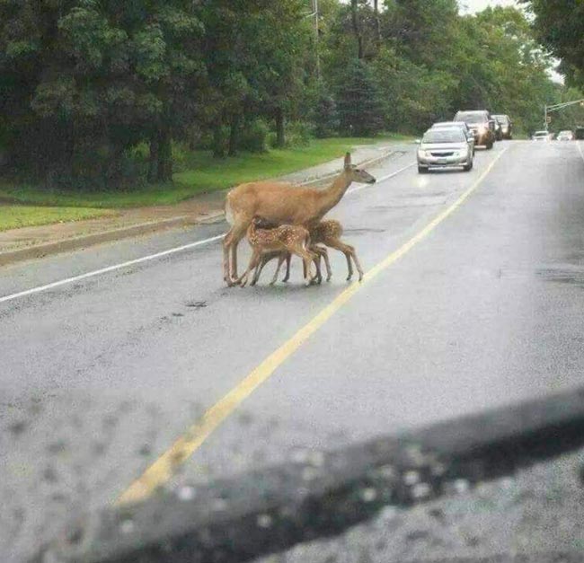 This whole breastfeeding in public thing is getting out of control