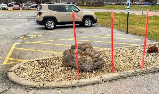 Update: Local donut shop put up stakes to keep people from driving over the rock that was meant to keep people from driving over plants